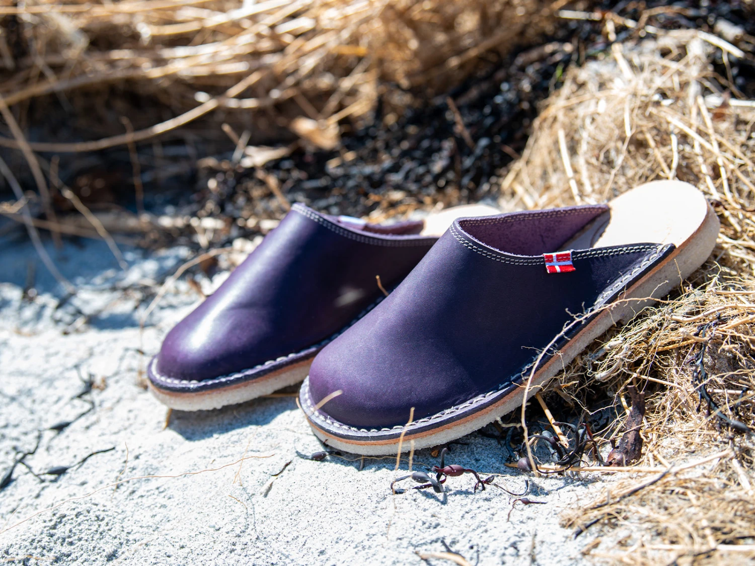 Blåvand Plum 8 Blåvand Plum - Image 6