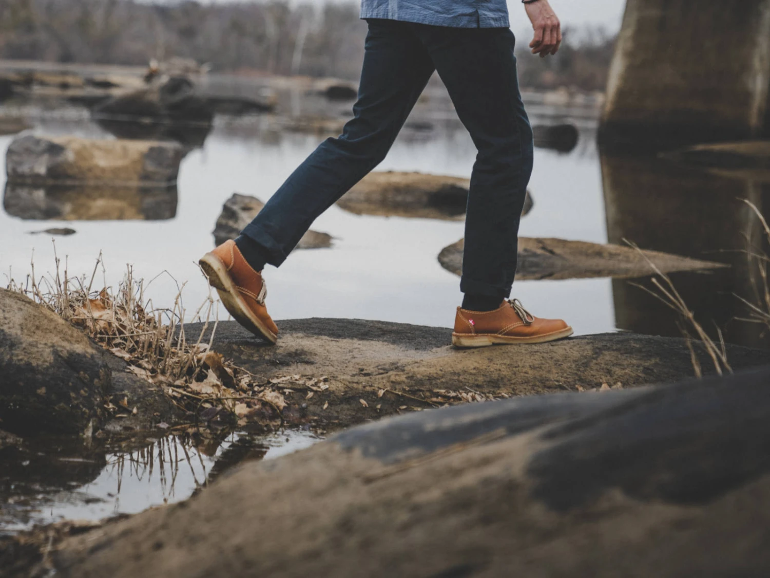 Jylland Brown 6 Jylland Brown - Image 4