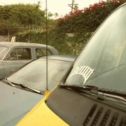 LOWRIDER PLAQUE STICKER - GOLD FOIL 7 LOWRIDER PLAQUE STICKER - GOLD FOIL -Clothing Store sticker2