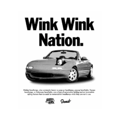 Wink Wink Nation Poster